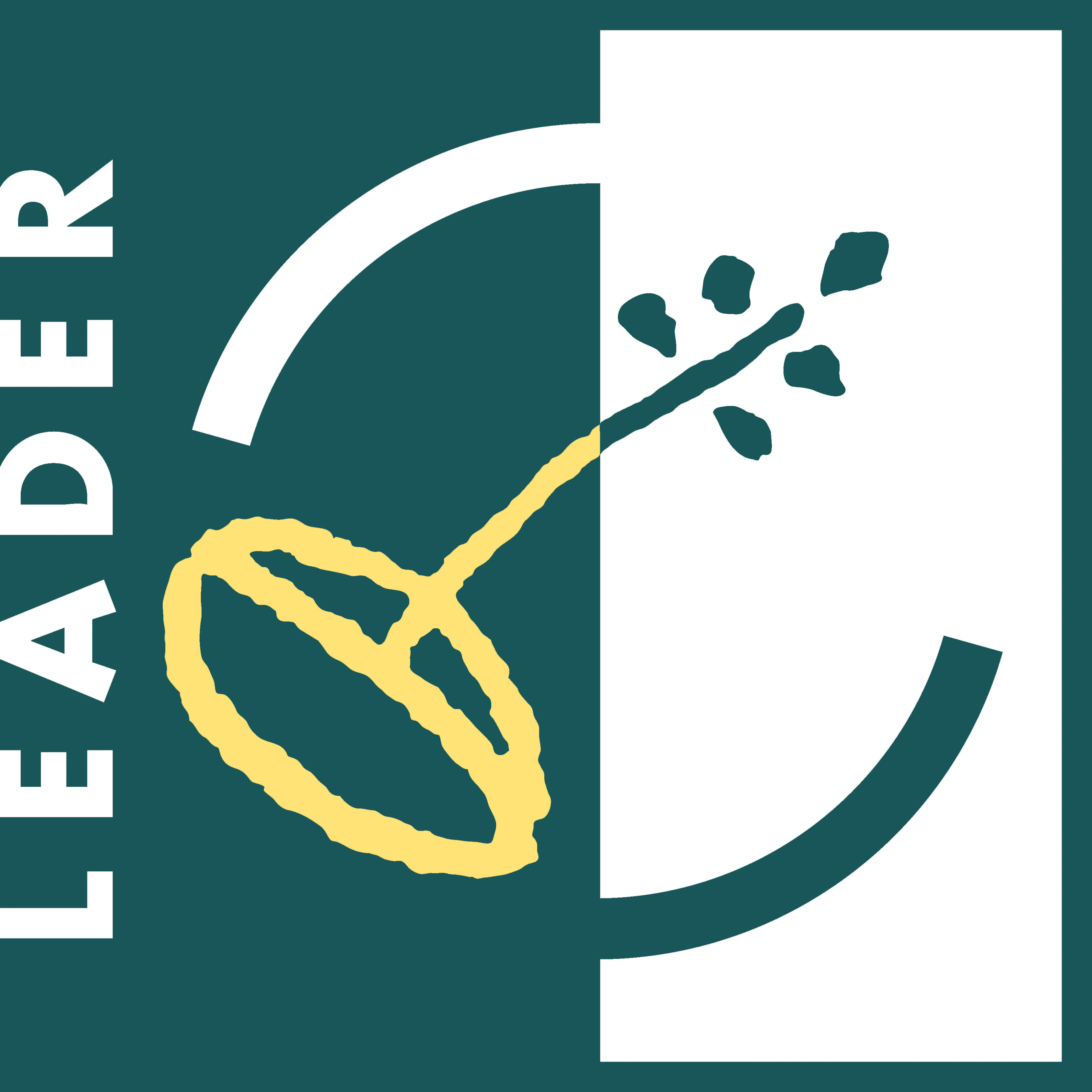 LEADER:in logo