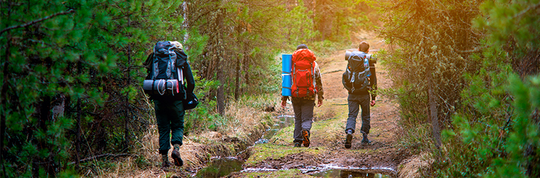 Kolme henkilöä vaeltamassa metsätiellä rinkat selässä