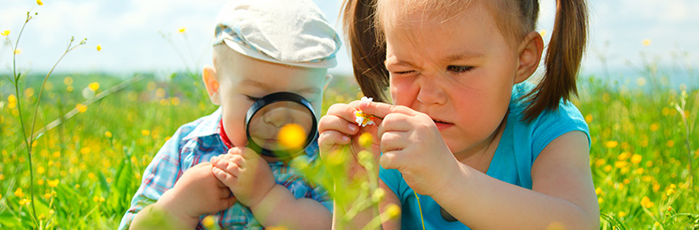 Kaksi lasta tutkimassa kasveja pellolla aurinkoisena päivänä.