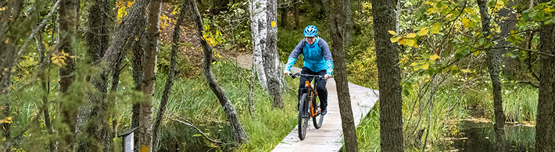Mies pyöräulee kapeaa puista siltaa vesiuoman yli metsässä.