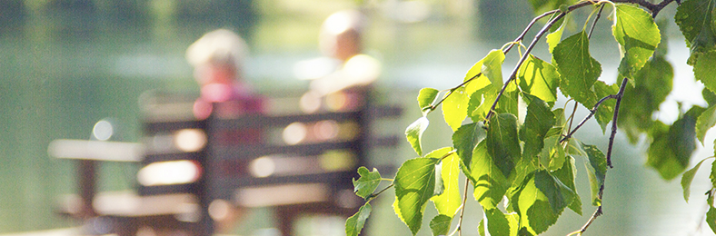 Liperin mökki­läis­ky­sely avoinna 31.7.2026 saakka