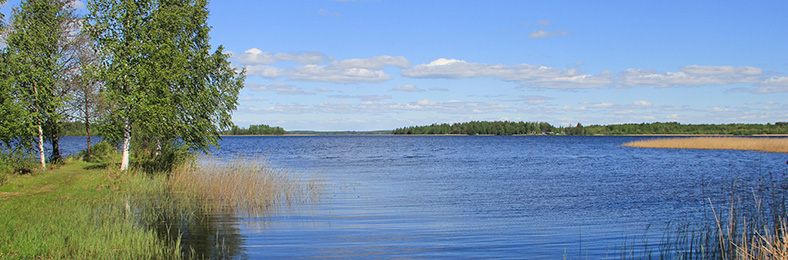 Maisema kesäiselle järvelle.